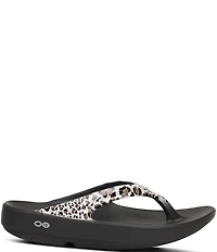 OOFOS OOlala Leopard Recovery Thong Sandals