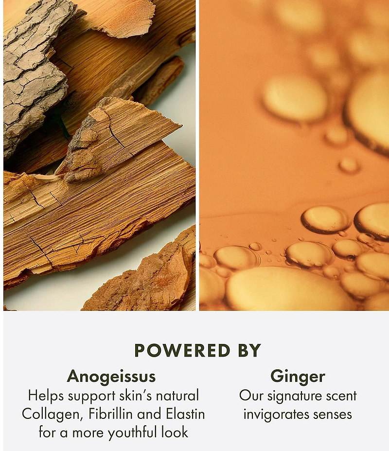 Origins Ginger Essence™ Sensuous Skin Perfume