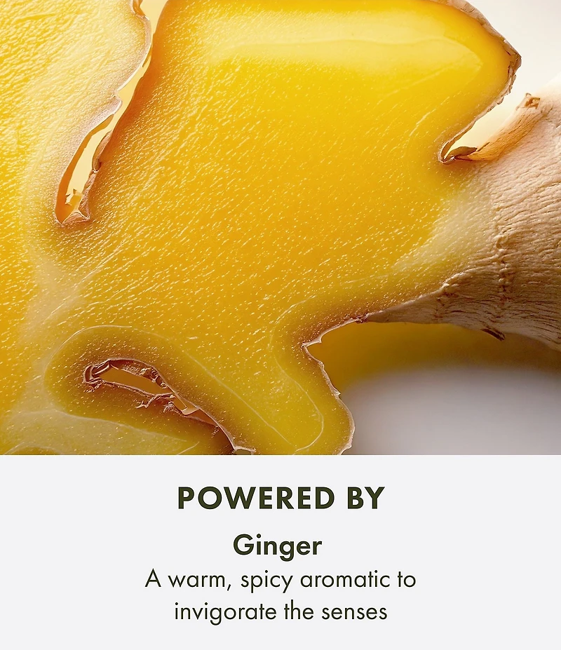 Origins Ginger Essence Sensuous Skin Scent