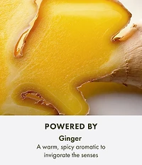 Origins Ginger Essence Sensuous Skin Scent