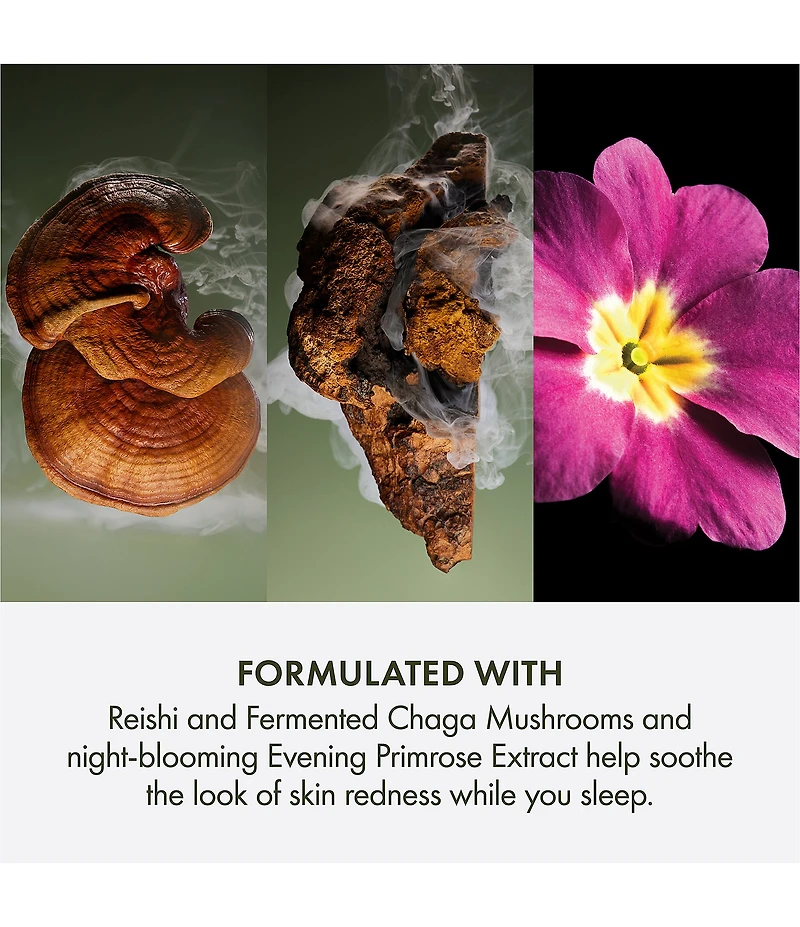 Origins Mega Mushroom Overnight Recovery Cream