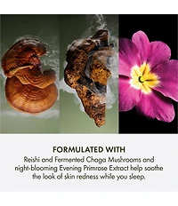 Origins Mega Mushroom Overnight Recovery Cream