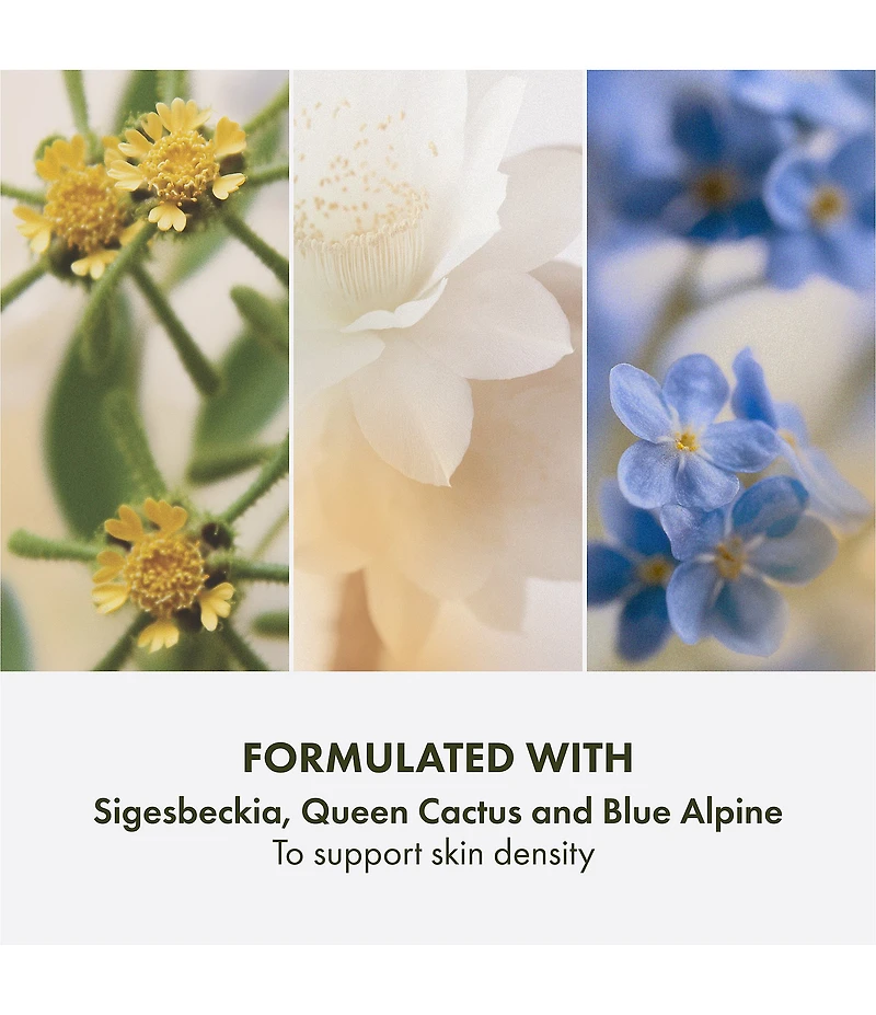 Origins Plantscription Triple Action Youth Cream