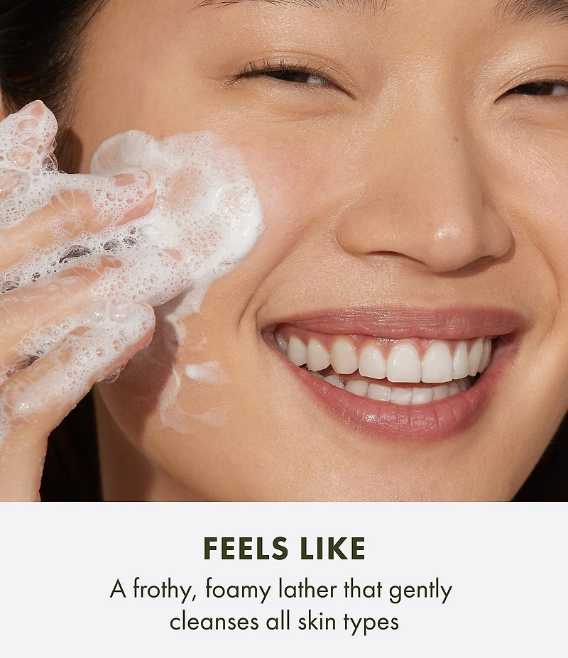 Origins Travel Checks & Balance Frothy Face Wash