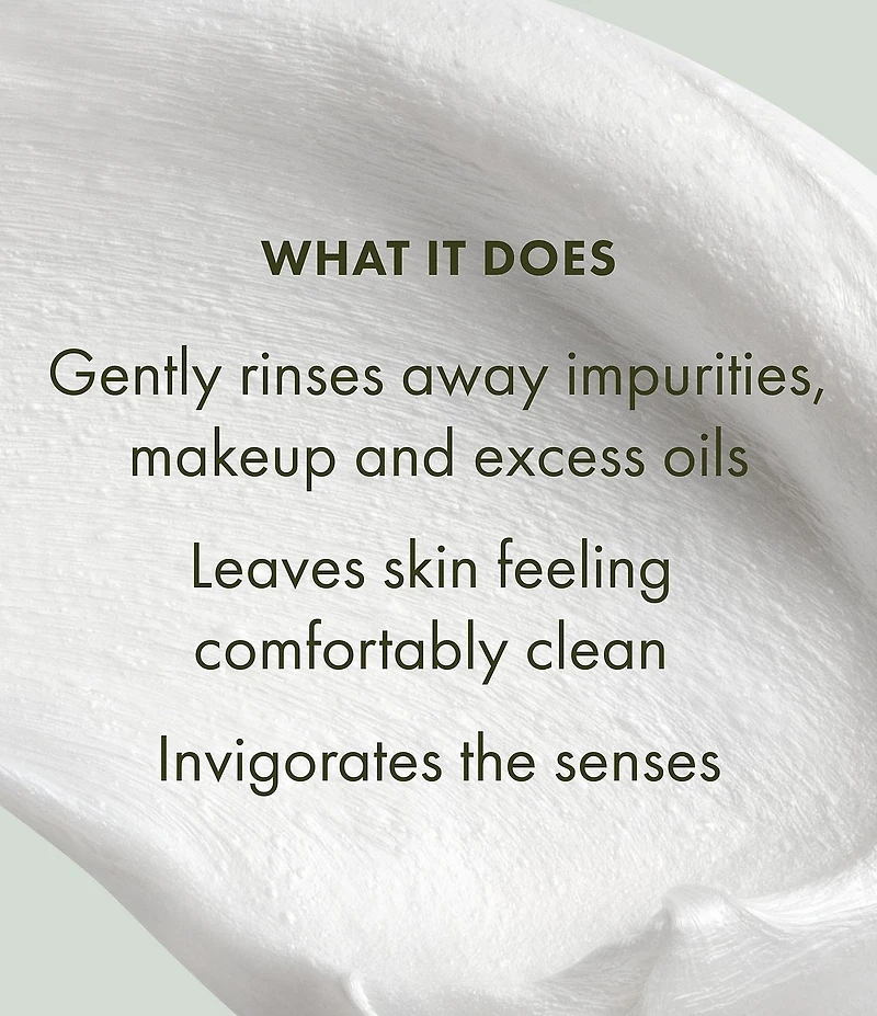 Origins Travel Checks & Balance Frothy Face Wash