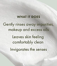Origins Travel Checks & Balance Frothy Face Wash