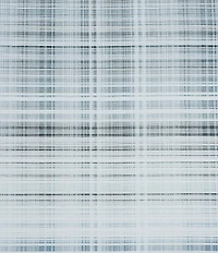 Oscar/Oliver Pascal Mini-Plaid Shower Curtain