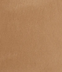 Oscar/Oliver Valencia Embossed Velvet Shower Curtain