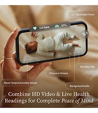 Owlet Dream Sock Monitor