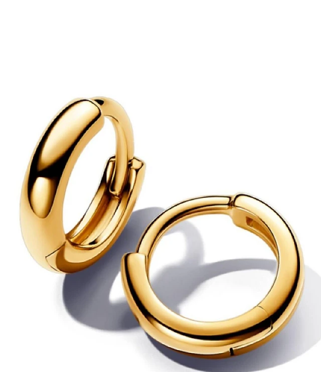 Pandora Round Hoop Earrings