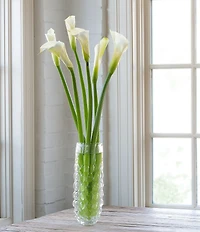 Park Hill Alouetta Blown Tall Glass Vase