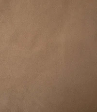 HiEnd Accents x Paseo Road Luxury Star Comforter & Sham Bonus Set