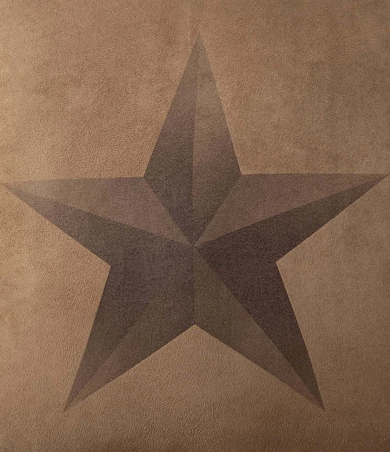 HiEnd Accents x Paseo Road Luxury Star Comforter & Sham Bonus Set