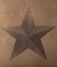 HiEnd Accents x Paseo Road Luxury Star Comforter & Sham Bonus Set