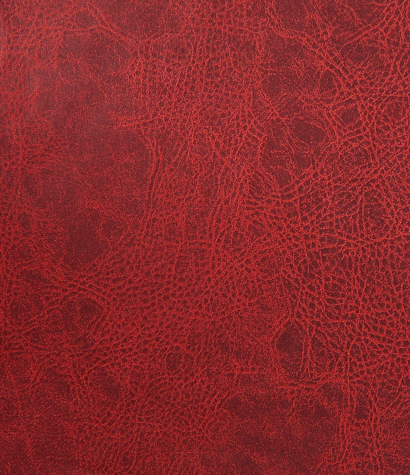 HiEnd Accents x Paseo Road San Angelo Paisley Printed Comforter Set