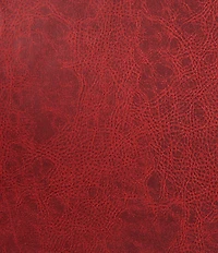 HiEnd Accents x Paseo Road San Angelo Paisley Printed Comforter Set