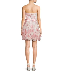 Pear Culture Floral Printed Mesh Sweetheart Neck Tie Front Tiered Ruffle Dress