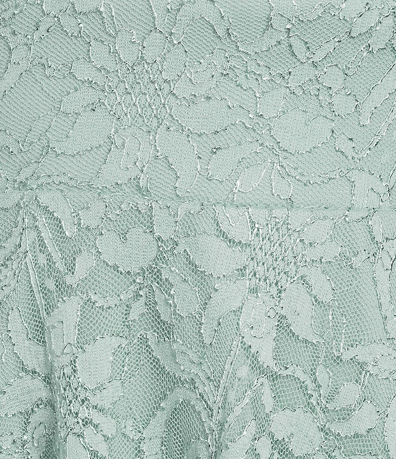 Pear Culture V-Neck Fit & Flare Lace Dress