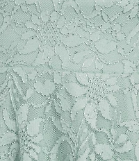 Pear Culture V-Neck Fit & Flare Lace Dress