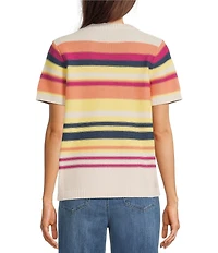 Pendleton Ribbed Knit Textured Stripe Crew Neck Short Sleeve Top