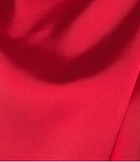 Petal & Pup Anabelle Satin Asymmetric Halter Neck Lace Sleeveless Shift Midi Dress