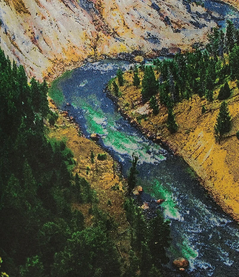 Philcos Short Sleeve Crew Neck Graphic T-Shirt