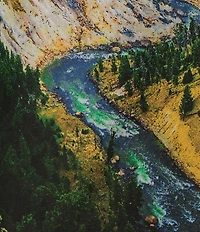 Philcos Short Sleeve Crew Neck Graphic T-Shirt