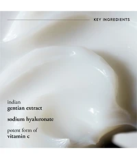 philosophy Anti-Wrinkle Miracle Worker Primer +