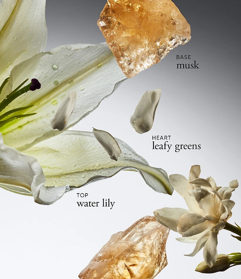 philosophy Pure Grace Hydrating Shower Gel