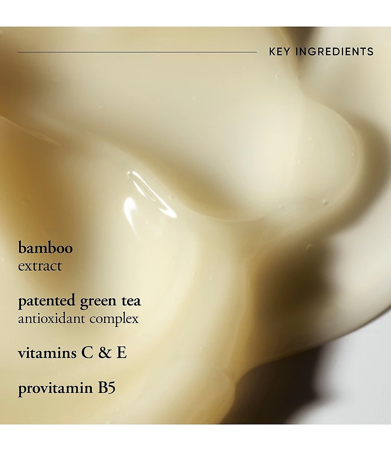 philosophy Purity Made Simple Oil-Free Mattifying Moisturizer