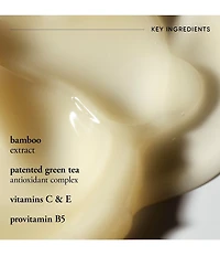 philosophy Purity Made Simple Oil-Free Mattifying Moisturizer