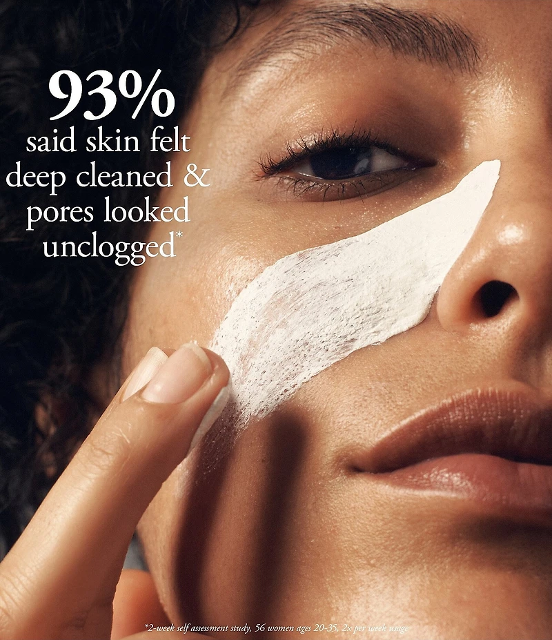 philosophy Purity Made Simple Pore Extractor Face Mask Treatment
