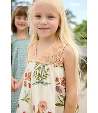 Pink Chicken Little Girls Cotton Popover Sequin Top Courtney Floral Dress
