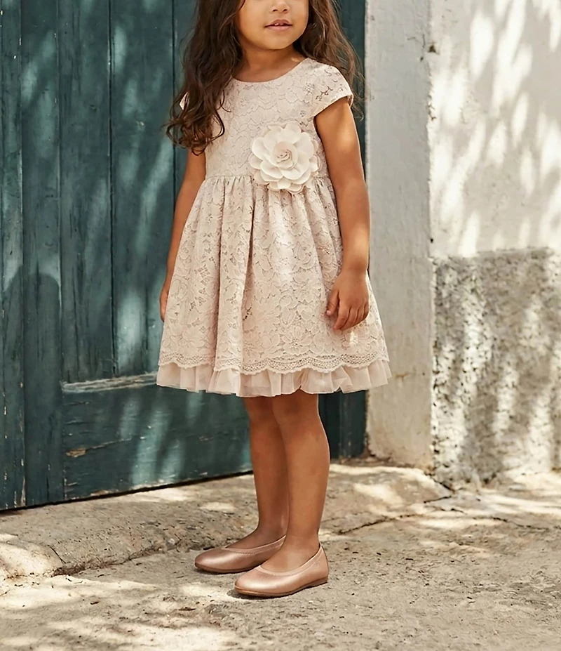Pippa & Julie Little Girls Bryce Short Sleeve Floral Detail Lace Dress