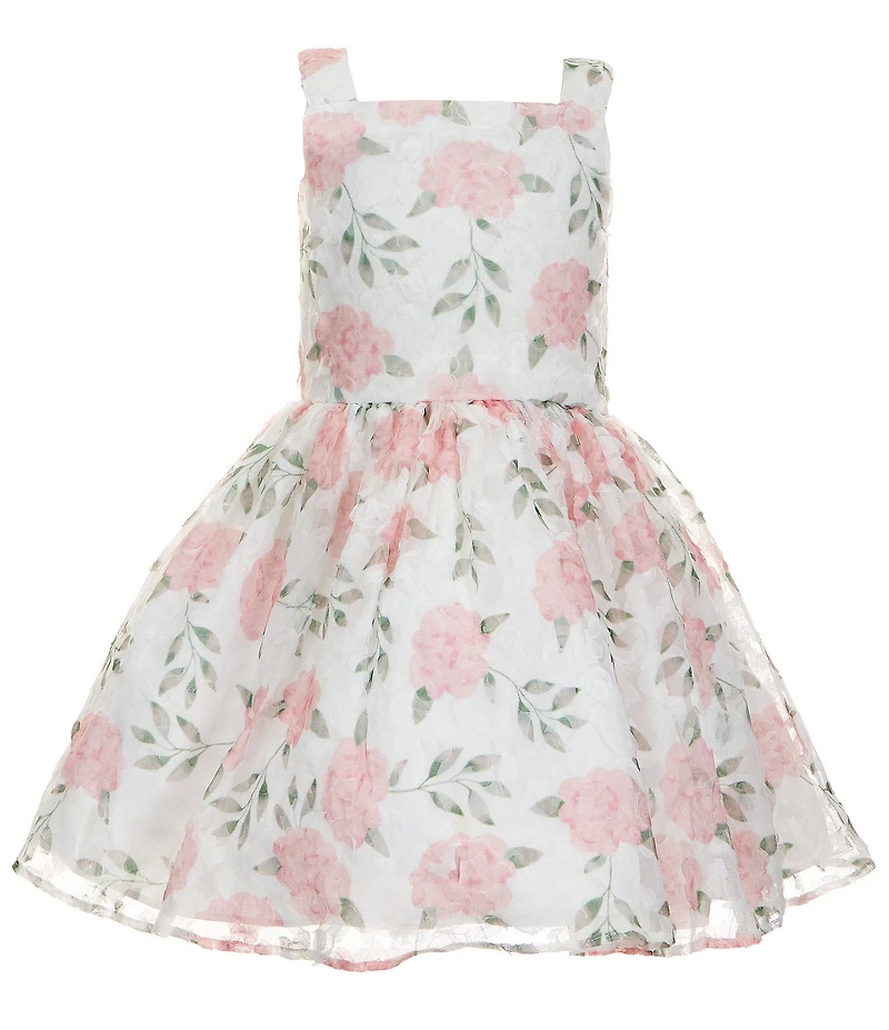 Pippa & Julie Little Girls Sleeveless Emily Floral Mesh Soutache Printed Dress