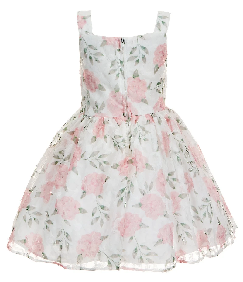 Pippa & Julie Little Girls Sleeveless Emily Floral Mesh Soutache Printed Dress