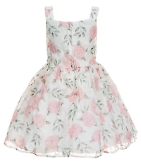 Pippa & Julie Little Girls Sleeveless Emily Floral Mesh Soutache Printed Dress