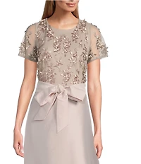 Pisarro Nights Beaded Boat Neck Short Sleeve Taffeta Skirt Ball Gown