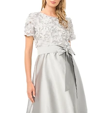 Pisarro Nights Boat Neck Short Sleeve 3D Applique Taffeta Ballgown