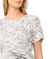 Pisarro Nights Boat Neck Short Sleeve 3D Applique Taffeta Ballgown