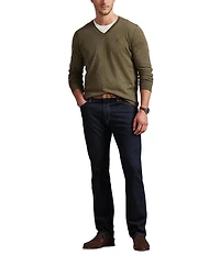Polo Ralph Lauren Big & Tall Washable Wool V-Neck Sweater