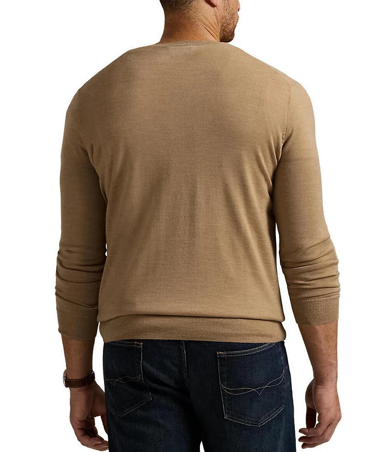 Polo Ralph Lauren Big & Tall Washable Wool V-Neck Sweater