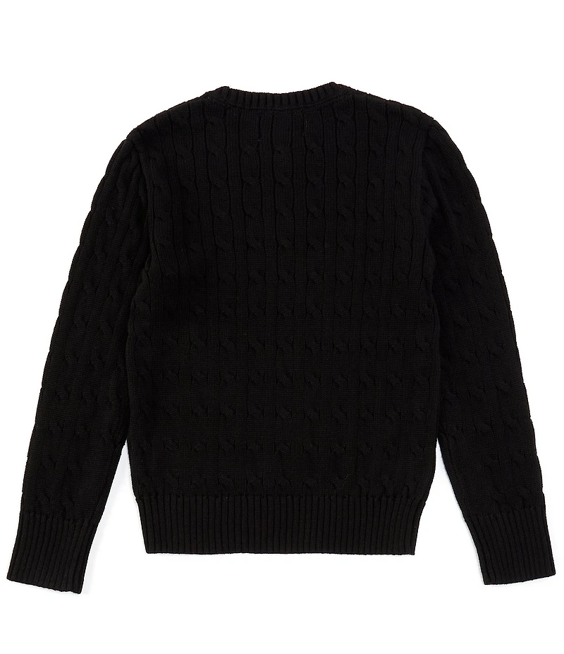 Polo Ralph Lauren Big Boys Long Sleeve Cable-Knit Sweater