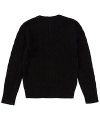 Polo Ralph Lauren Big Boys Long Sleeve Cable-Knit Sweater