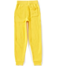 Polo Ralph Lauren Big Boys Big Pony Fleece Jogger Pants