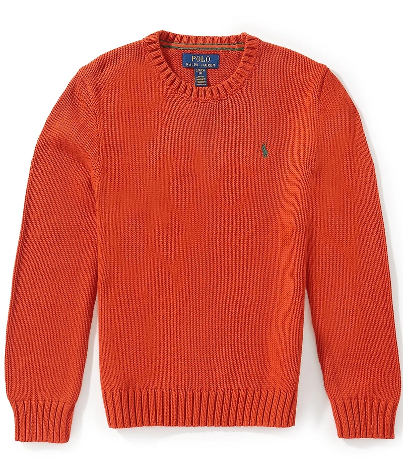 Polo Ralph Lauren Big Boys Long Sleeve Chunky Knit Sweater