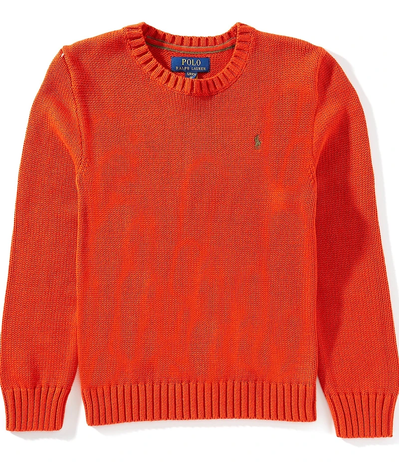 Polo Ralph Lauren Big Boys Long-Sleeve Sweater