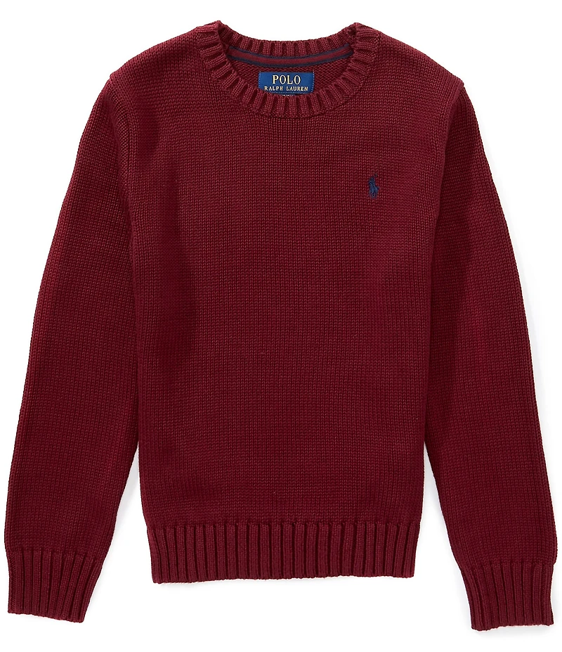 Polo Ralph Lauren Big Boys Long-Sleeve Sweater