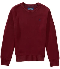 Polo Ralph Lauren Big Boys Long-Sleeve Sweater