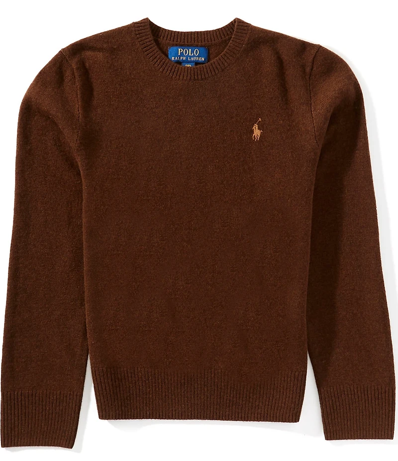 Polo Ralph Lauren Big Boys Long-Sleeve Wool Sweater